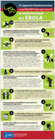 10 aspectos fundamentales  lo que REALMENTE debe saber acerca de la enfermedad del bola