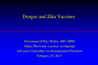 Dengue and zika vaccines