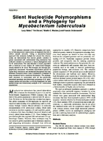 Silent Nucleotide Polymorphisms and a Phylogeny for Mycobacterium tuberculosis
