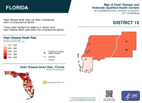 FL Congressional District 12 Heart Disease and Federally Qualified Health Centers Map 119th Congress