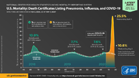 US Mortality Death Certificates Listing Pneumonia Influenza COVID19 Data Through Week Ending May 2 2020 as of May 7 2020