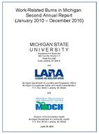 WorkRelated Burns in Michigan Second Annual Report January 2010  December 2010