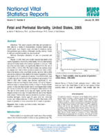 Fetal and perinatal mortality United States 2005