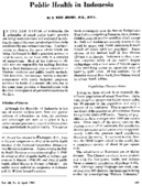 Public health in Indonesia