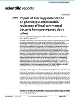 Impact of Zinc Supplementation on Phenotypic Antimicrobial Resistance of Fecal Commensal Bacteria from PreWeaned Dairy Calves