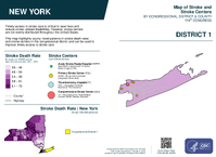 NY Congressional District 01 Stroke and Stroke Centers Map 119th Congress