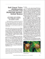 Gulf Coast Ticks Amblyomma maculatum and Rickettsia parkeri United States