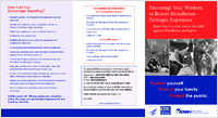 Encourage Your Workers to Report Bloodborne Pathogen Exposures