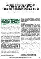 Candida vulturna Outbreak Caused by Cluster of MultidrugResistant Strains China