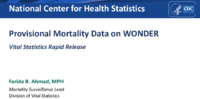 Provisional Mortality Data on WONDER Vital Statistics Rapid Release