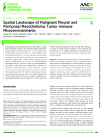 Spatial Landscape of Malignant Pleural and Peritoneal Mesothelioma Tumor Immune Microenvironments