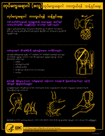Influenza Flu Cleaning to Prevent the Flu Burmese
