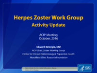Herpes Zoster Work Group activity update
