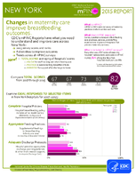 CDC National Survey Maternity Practices in Infant Nutrition and Care mPINC New York 2015 Report