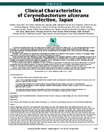 Clinical Characteristics of Corynebacterium ulcerans Infection Japan