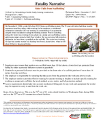 Fatality Narrative Sider Falls from Scaffolding