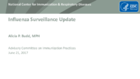 Influenza surveillance update