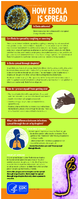 How Ebola Is Spread 201411