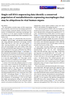 SingleCell RNA Sequencing Data Identify a Conserved Population of MetallothioneinExpressing Macrophages That May Be Ubiquitous in Vital Human Organs