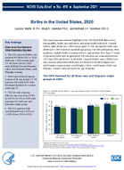 Births in the United States 2020