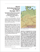 Novel Orthobunyavirus in Cattle Europe 2011