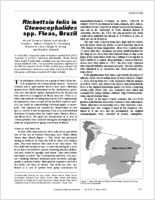 Rickettsia felis in Ctenocephalides spp Fleas Brazil