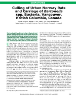 Culling of Urban Norway Rats and Carriage of Bartonella spp Bacteria Vancouver British Columbia Canada