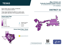 TX Congressional District 33 Stroke and Federally Qualified Health Centers Map 119th Congress