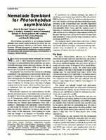 Nematode Symbiont for Photorhabdus asymbiotica