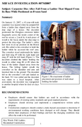 Carpenter Dies After Fall From a Ladder That Slipped From Its Base While Positioned on Frozen Sand
