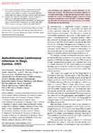 Autochthonous Leishmania infantum in Dogs Zambia 2021