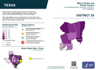TX Congressional District 36 Stroke and Stroke Centers Map 119th Congress