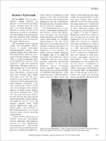 Human Pythiosis