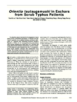 Orientia tsutsugamushi in Eschars from Scrub Typhus Patients
