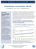 Suicide Mortality in the United States 19992017