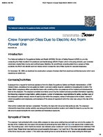 Crew Foreman Dies Due to Electric Arc from Power Line FACE 8504