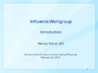 Influenza workgroup  introduction