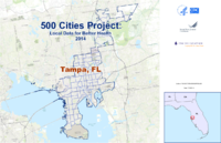 500 Cities Project Local Data for Better Health 2014 Tampa FL