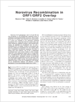 Norovirus Recombination in ORF1ORF2 Overlap