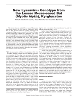 New Lyssavirus Genotype from the Lesser Mouseeared Bat Myotis blythi Kyrghyzstan