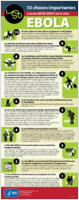 Les 10 choses importantes  savoir absolument sur le virus Ebola