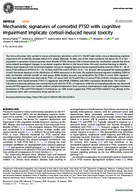 Mechanistic Signatures of Comorbid PTSD with Cognitive Impairment Implicate CortisolInduced Neural Toxicity