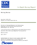 InDepth Survey Report Mixing Mortar