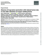 Absence of Lung Tumor Promotion with Reduced Tumor Size in Mice After Inhalation of Copper Welding Fumes