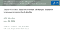 Zoster Vaccines session  Burden of Herpes Zoster in immunocompromised adults