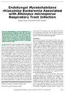 Endofungal Mycetohabitans rhizoxinica Bacteremia Associated with Rhizopus microsporus Respiratory Tract Infection