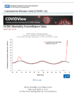 NCHS mortality surveillance data updated April 24 2020