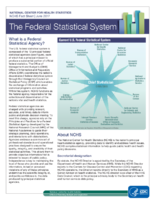 The federal statistical system June 2017