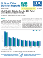 Linked BirthInfant Death Data Set