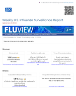 FluView Weekly US Influenza Surveillance Report Key Updates for Week 25 ending June 22 2024